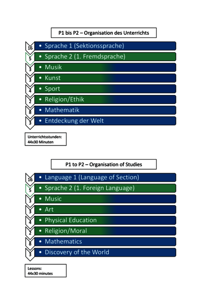 P1-P2_Organisation_of_Studies-1