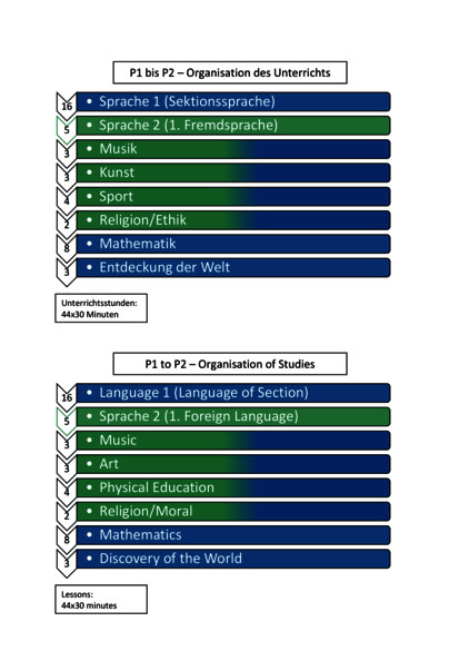 P1-P2_Organisation_of_Studies-1
