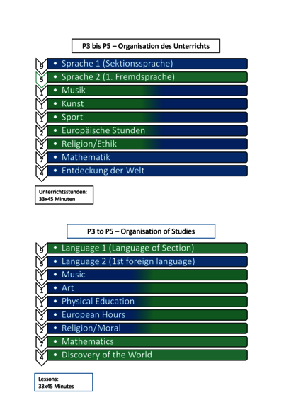 P3-P5_Organisation_of_Studies-1