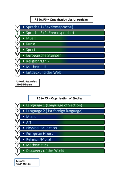 P3-P5_Organisation_of_Studies-1